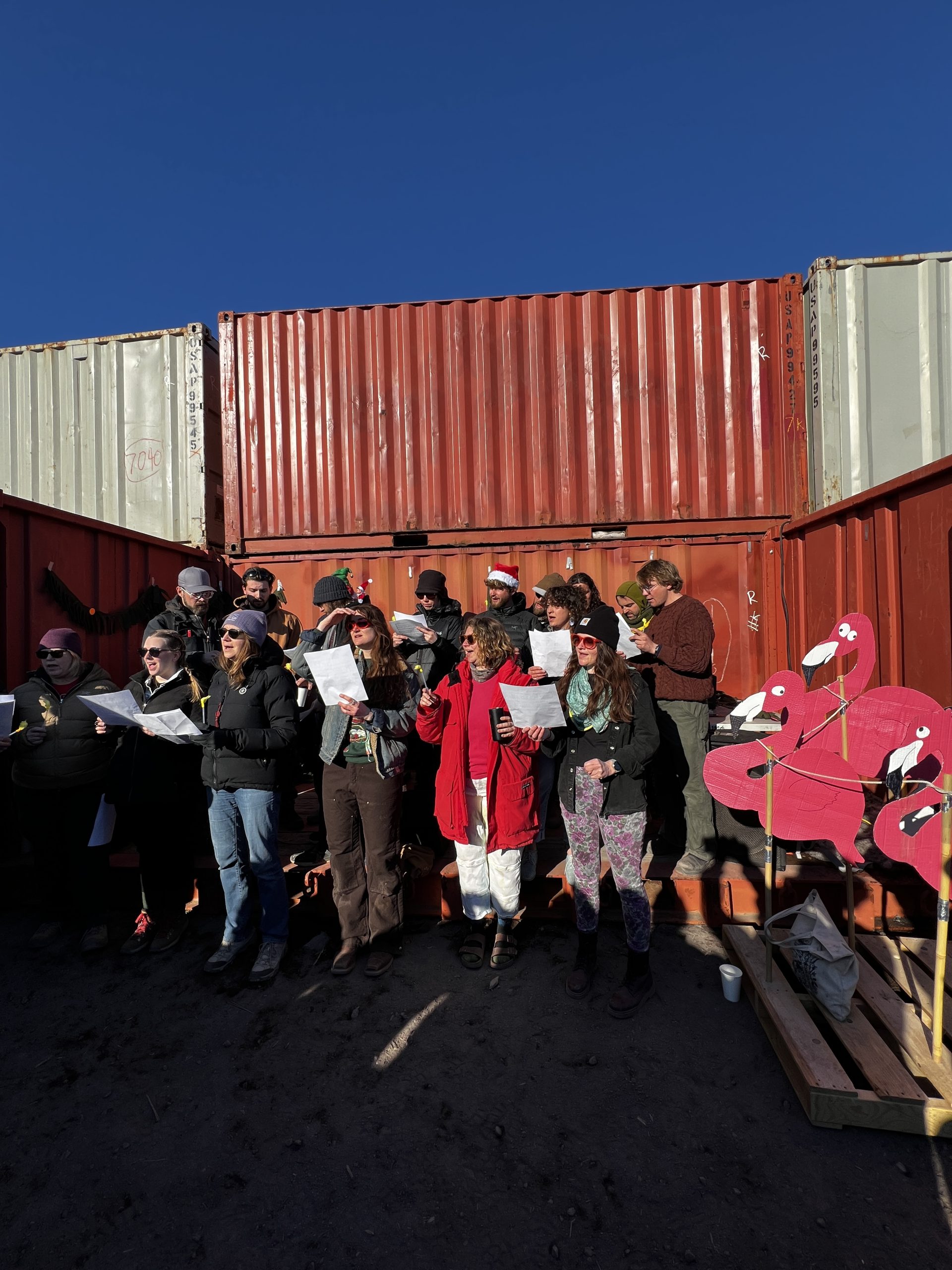 Ellen and the Christmas choir