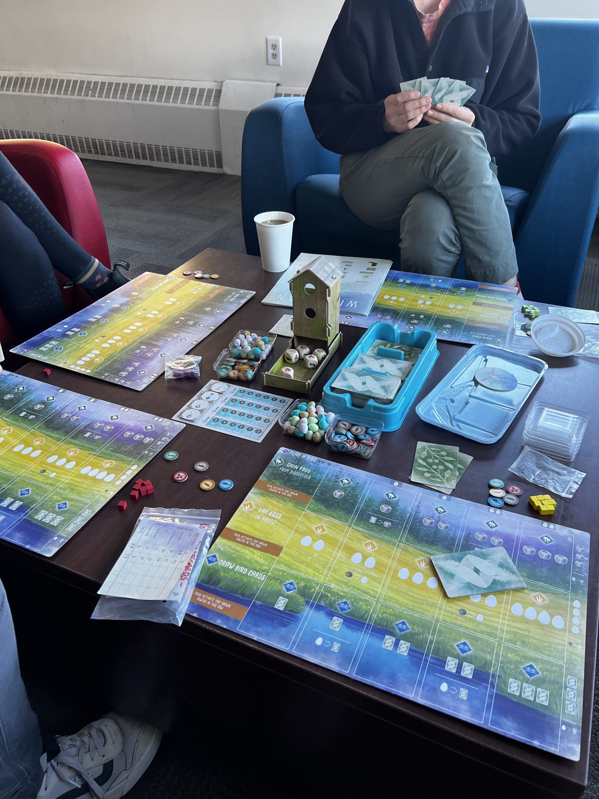 Playing Wingspan for morale