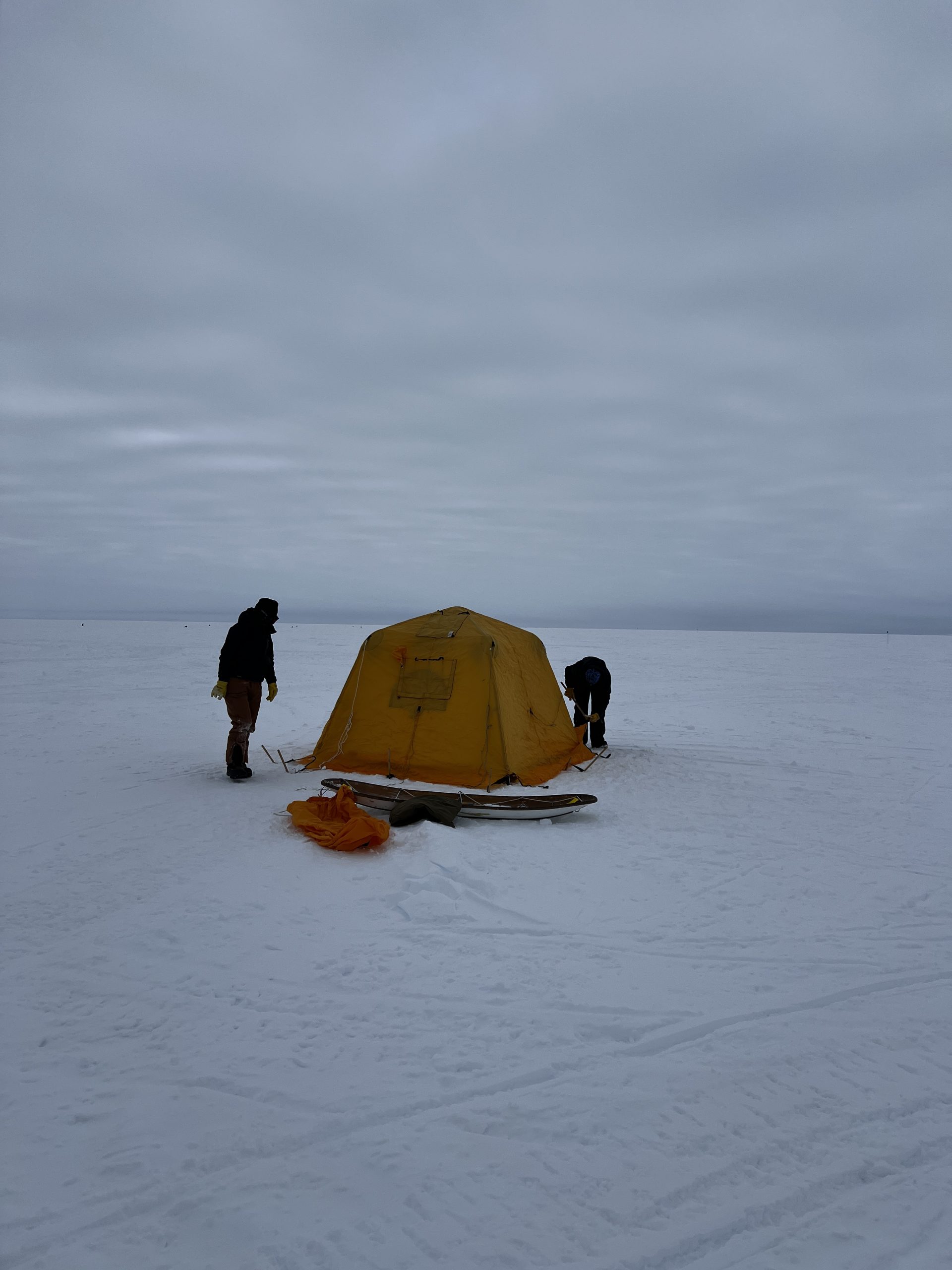 Setting up the science tent