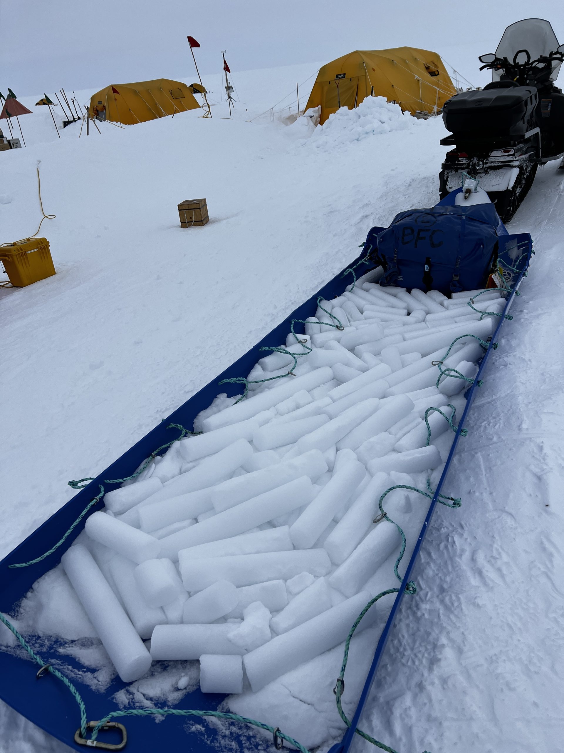 Elliot and Forest brought back dinner!