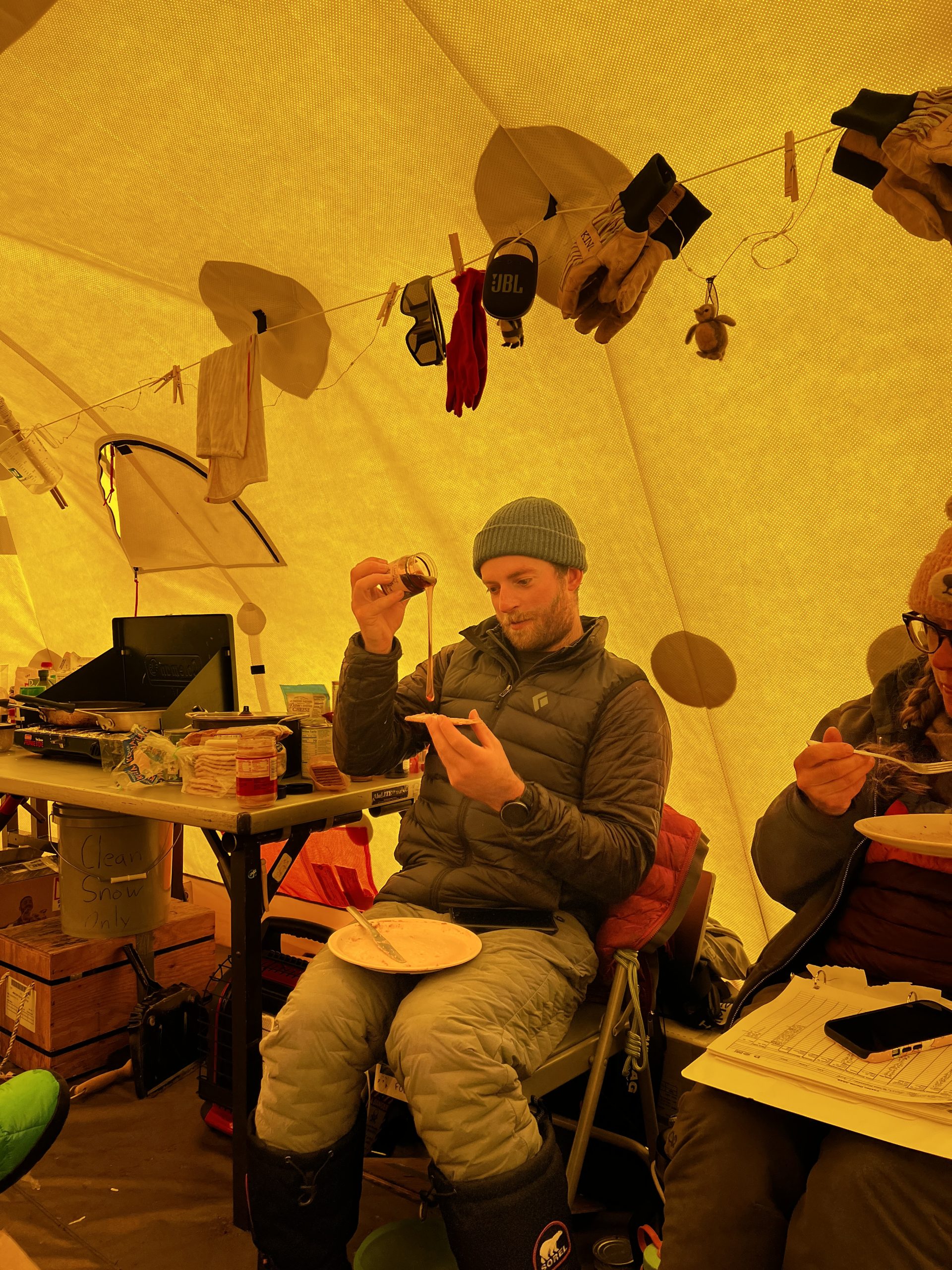 Forest's adventure with cold, floating honey