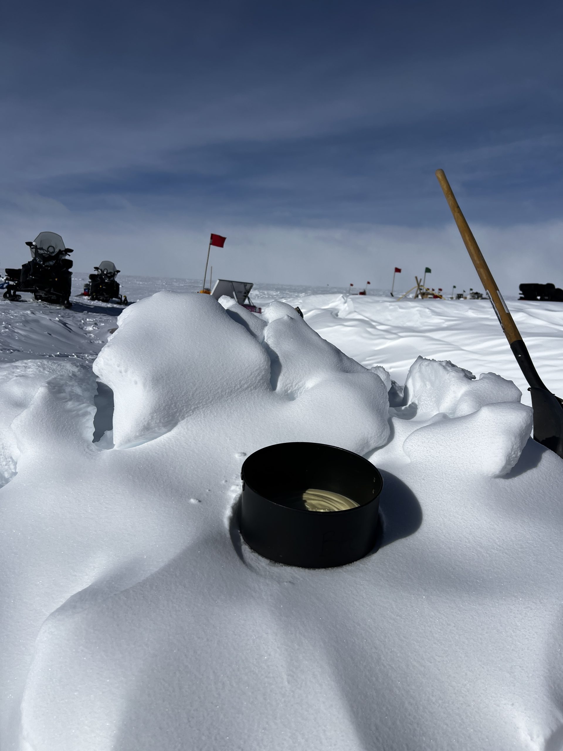 Cheesecake in the freezer for dessert