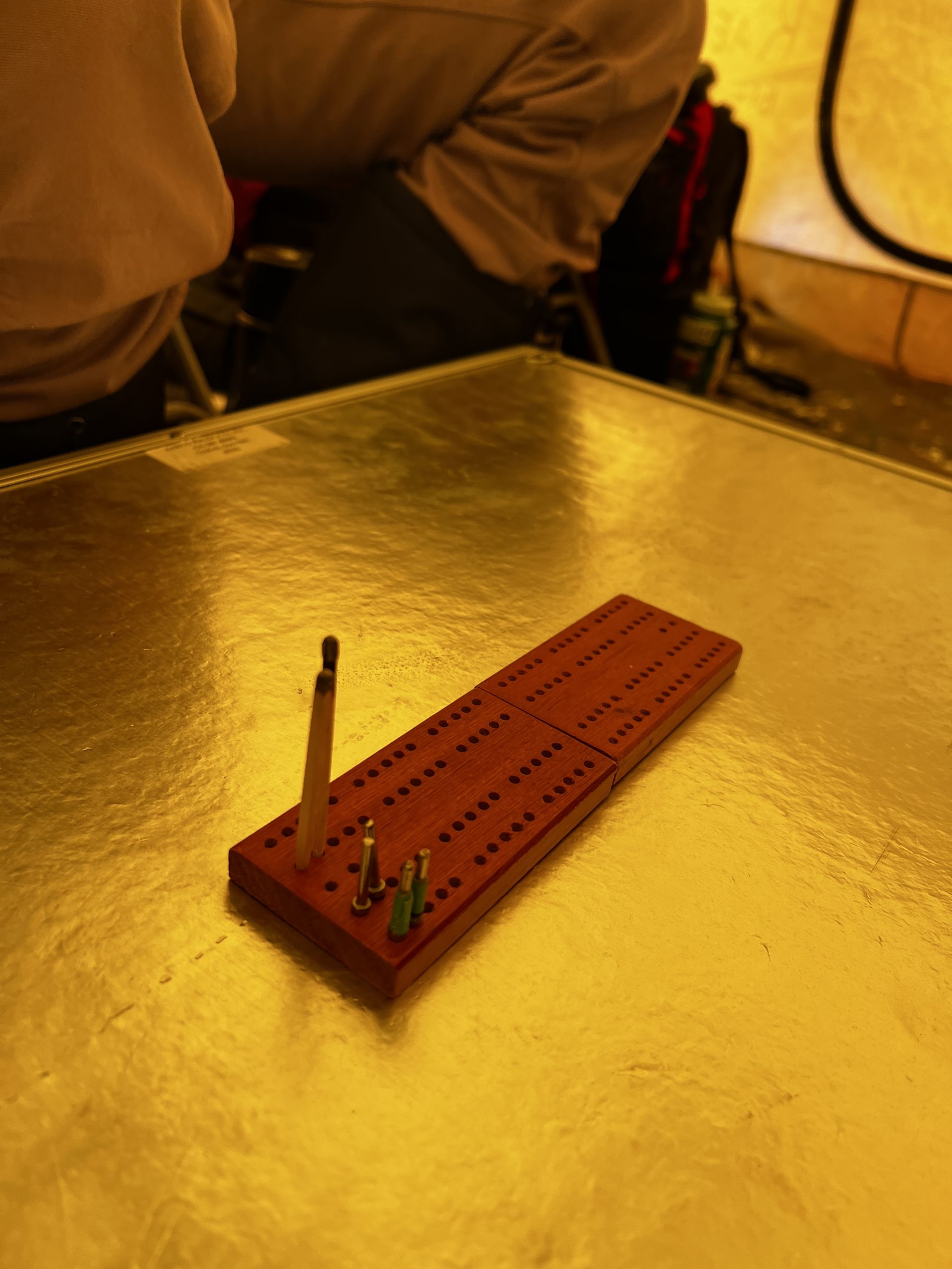 The aforementioned cribbage pieces (featuring Ellen's whittled matches)