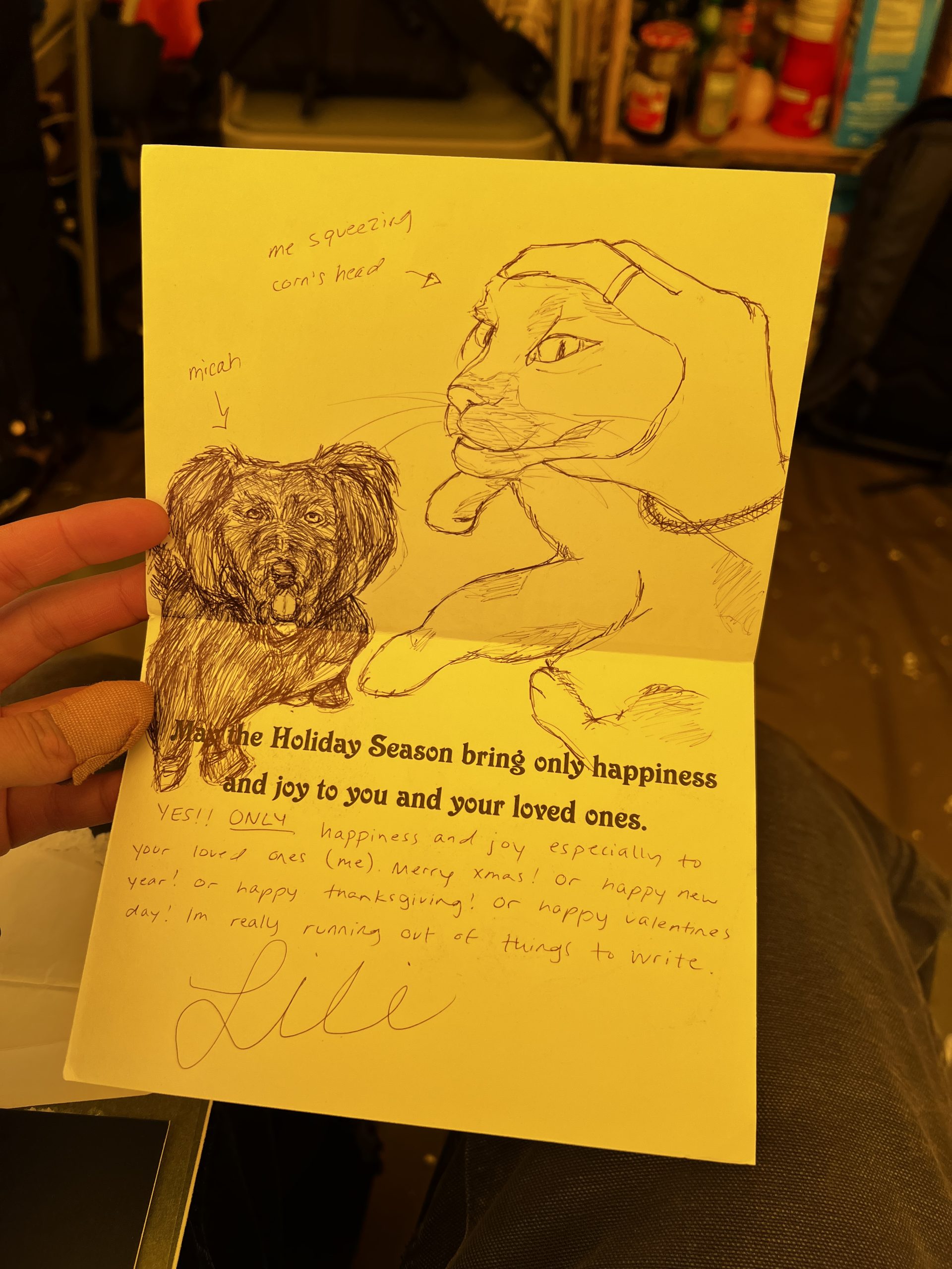 A card from my lovely sister