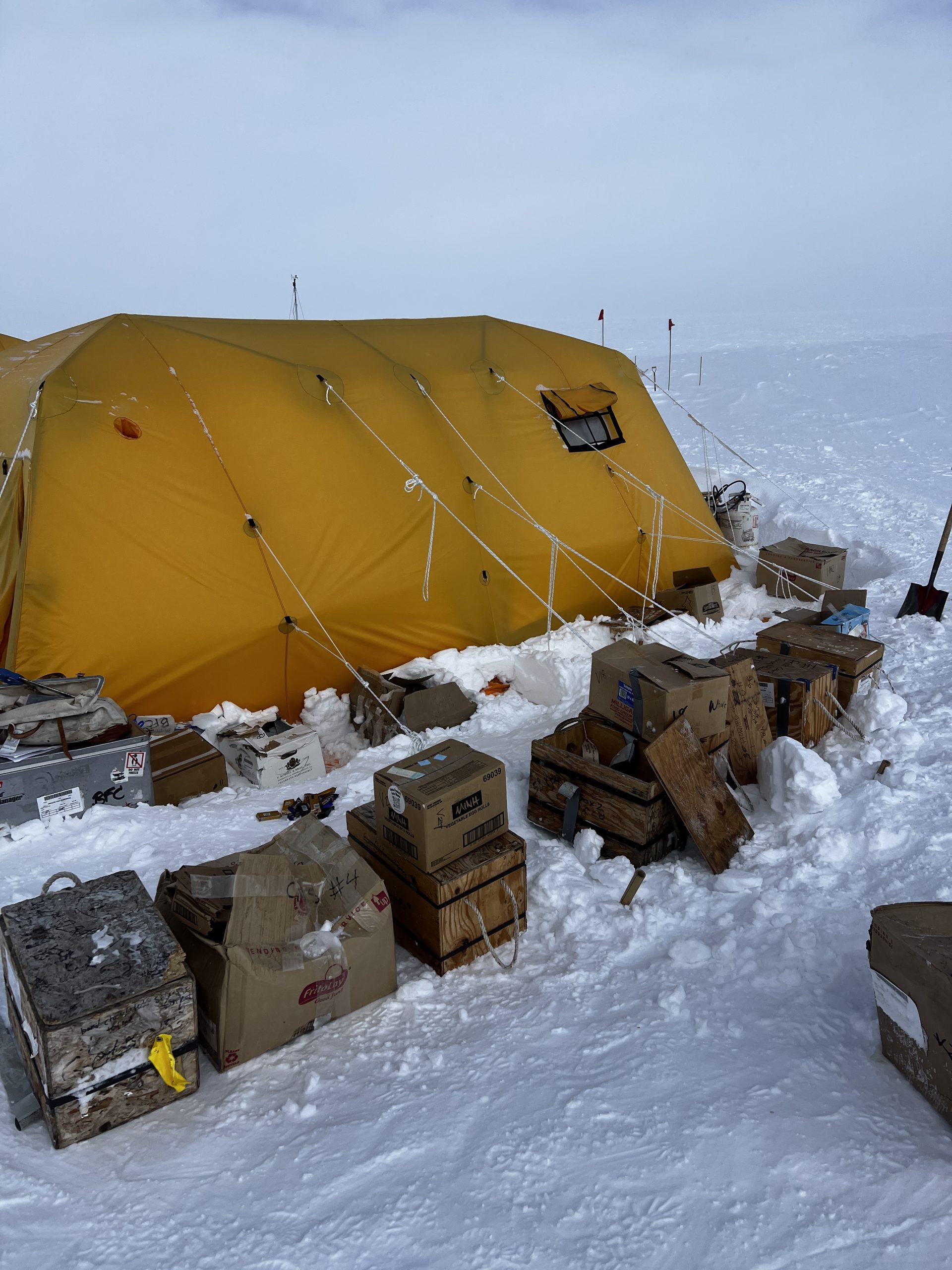 After I have created chaos