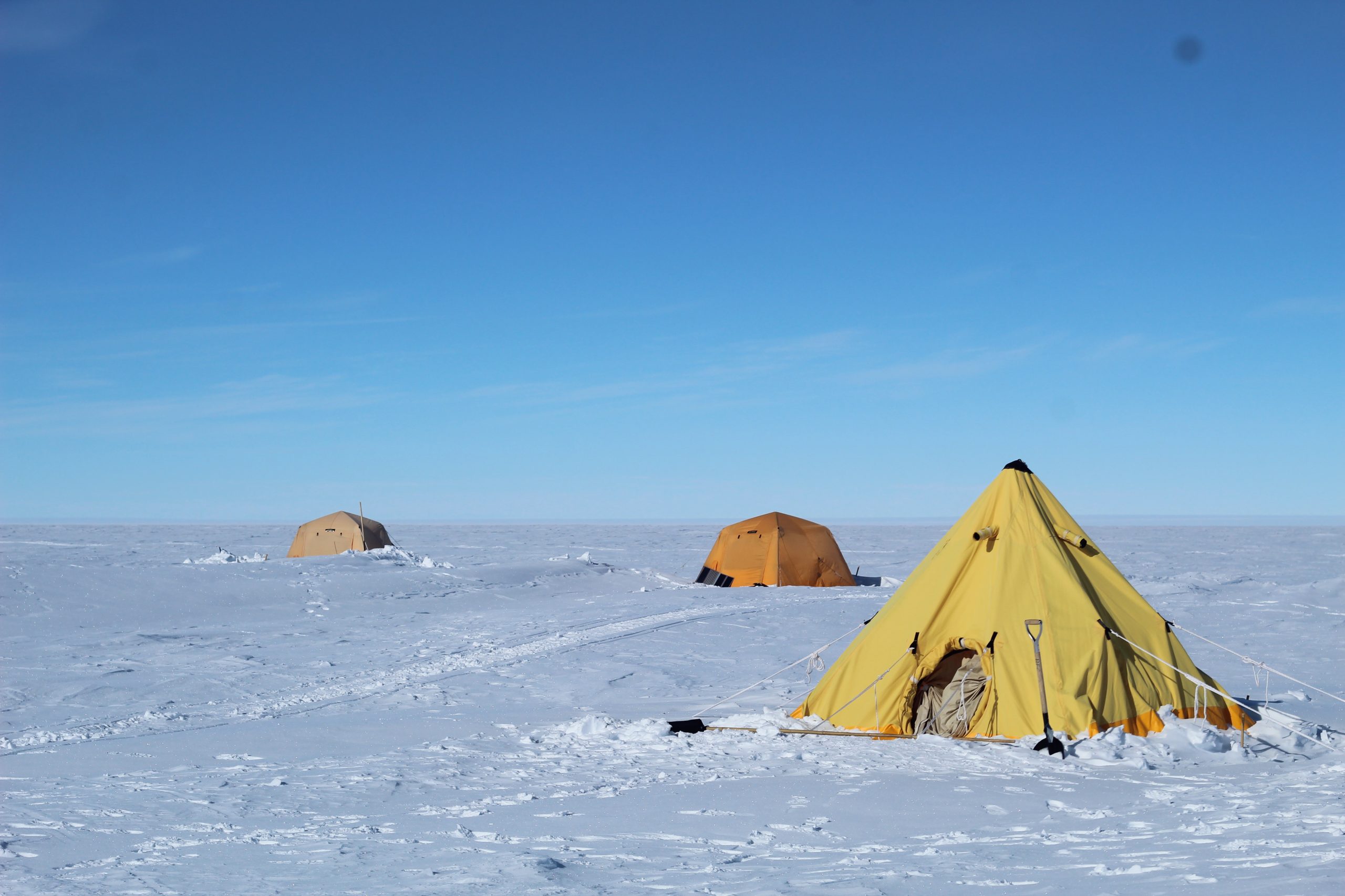 Sleeping tents and a toilet tent
