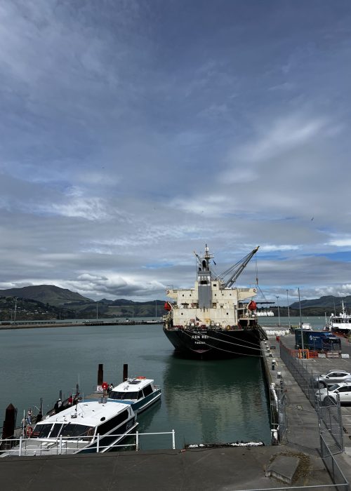 Boats in Lyttleton Harbour