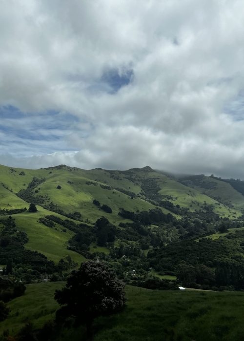 Views of the Port Hills