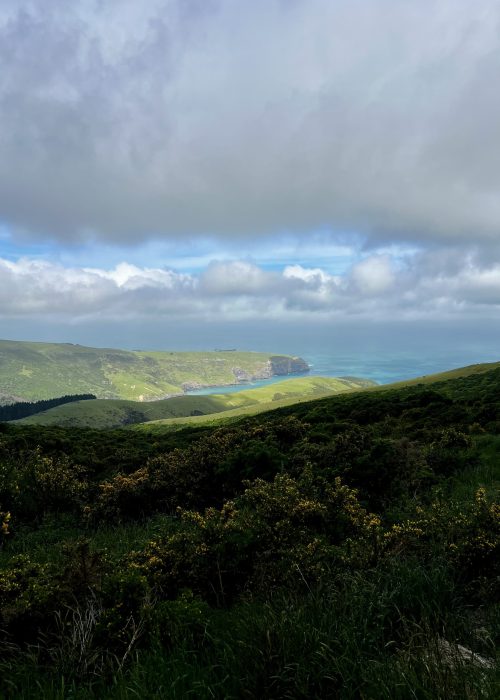 Views of the Akaroa bays