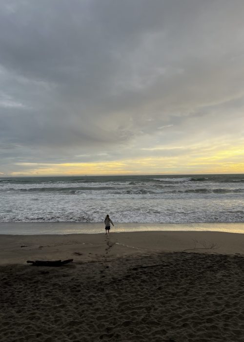 Taylor's Mistake Beach