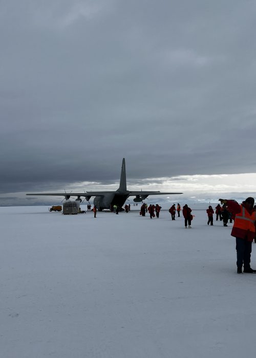 Ants exiting the plane onto the airfield