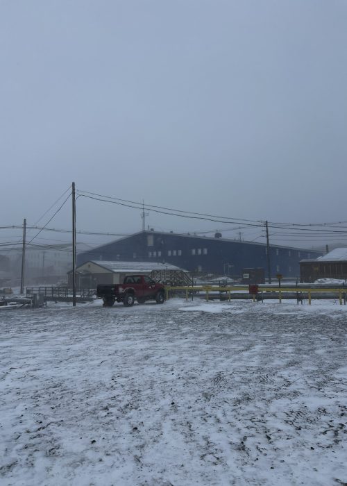 More blowing snow on the walk back to our dorm (in blue)