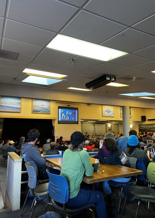 Sunday night science talk about Adélie Penguins