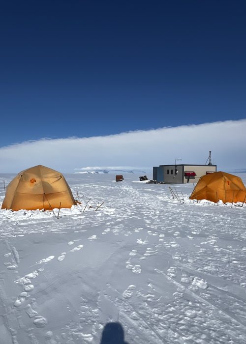 Forest and Elliot's Arctic Oven pup tents with the I-Hut in the background