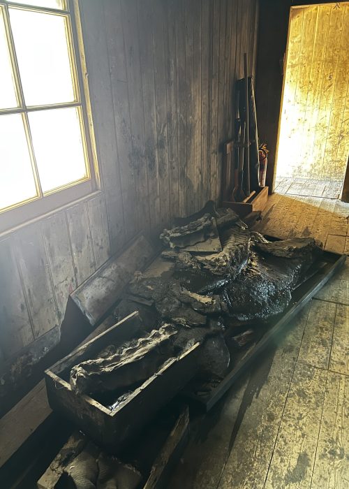 100-year-old blubber...