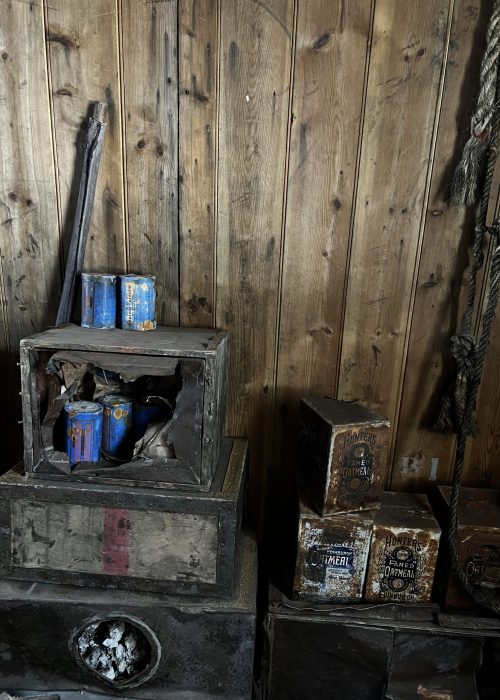 Barley, biscuits, and oatmeal