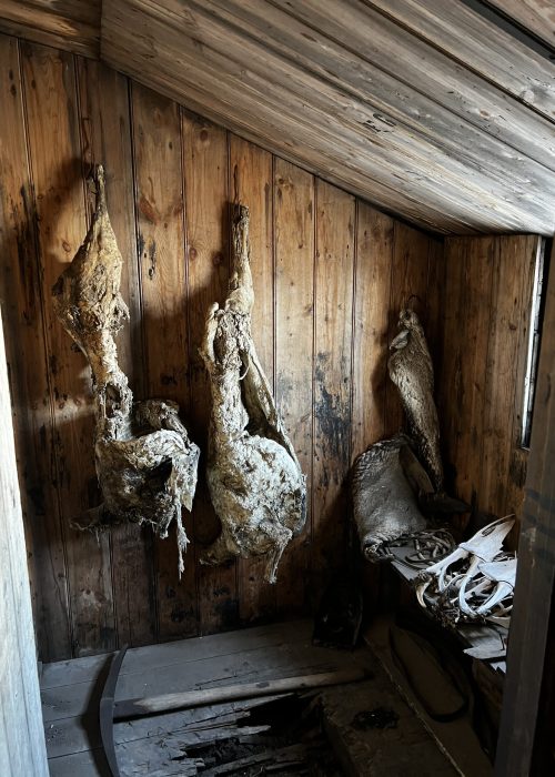 The slaughter room at Scott Hut
