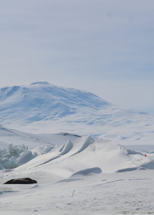 The view out over the pressure ridges and seals